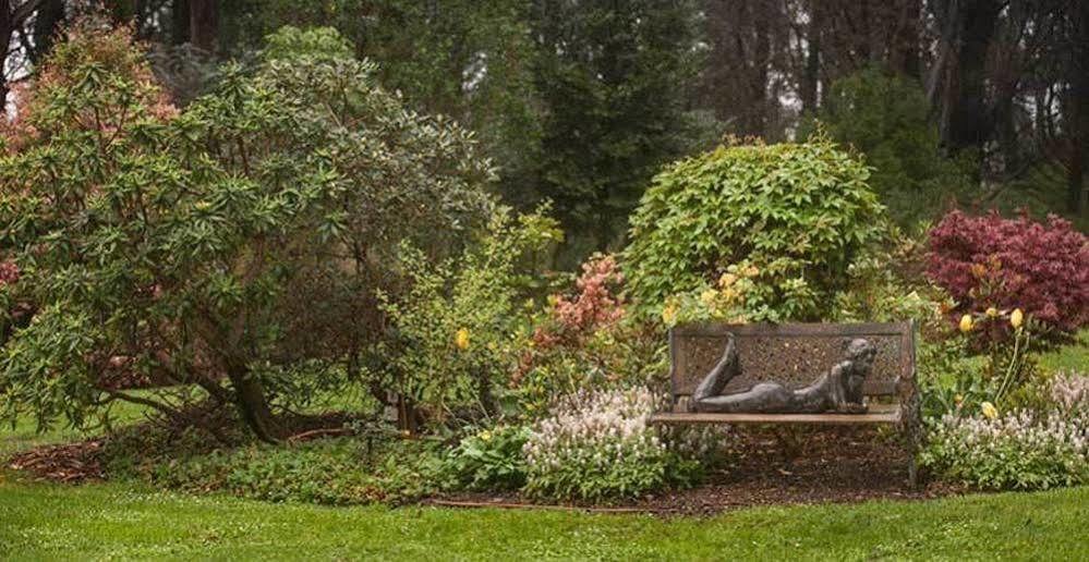 Beechmont Garden Retreat Guest House Olinda Exterior foto