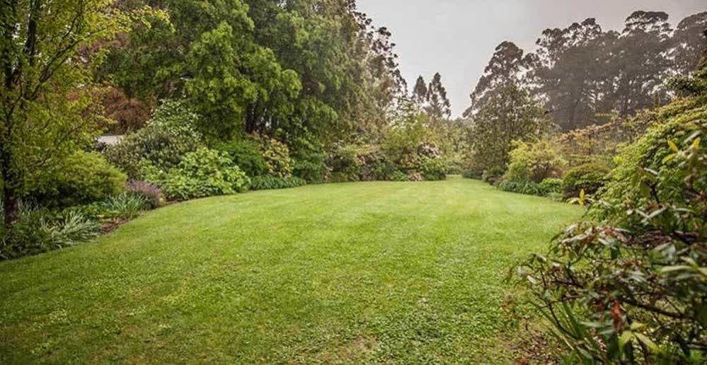 Beechmont Garden Retreat Guest House Olinda Exterior foto