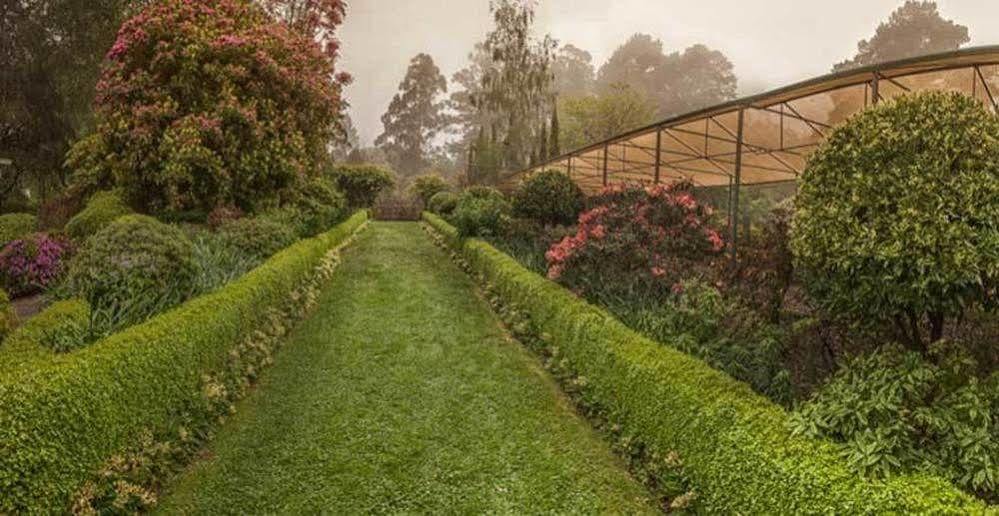 Beechmont Garden Retreat Guest House Olinda Exterior foto