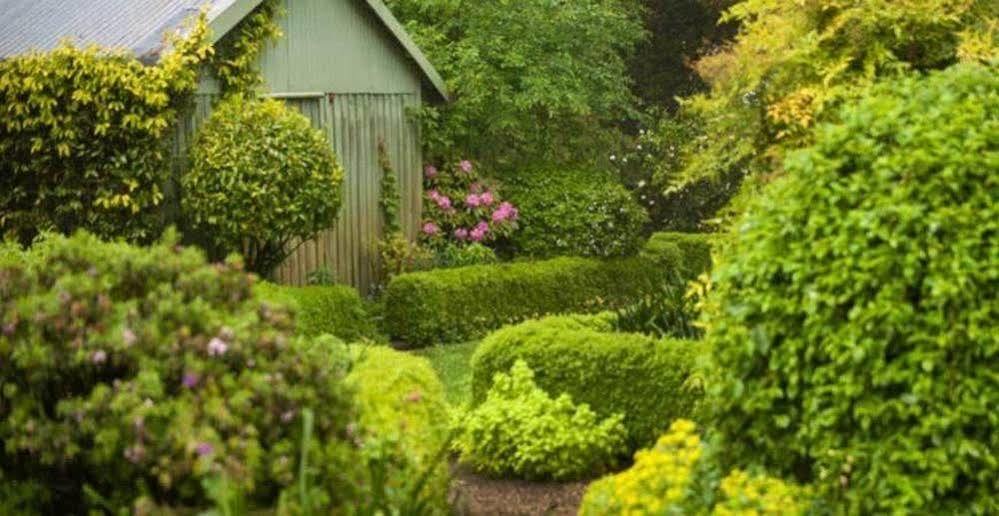 Beechmont Garden Retreat Guest House Olinda Exterior foto